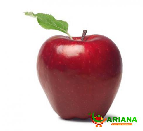 How to Export Gala Apples?