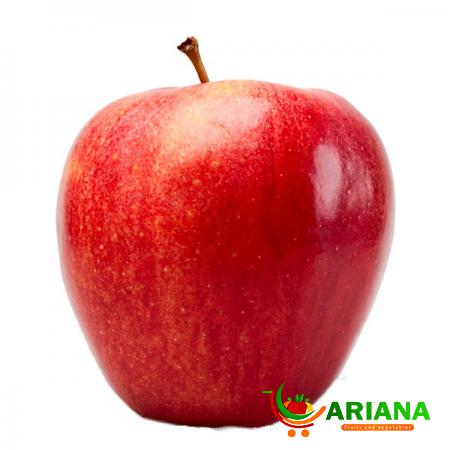 Large Gala Apple at Best Prices