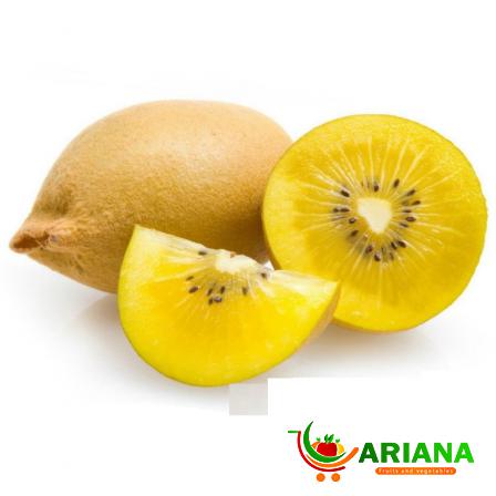 Exceptional Sun Gold Kiwi to Supply