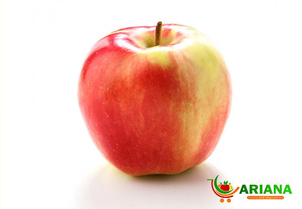 Organic Gala Apple for Trade