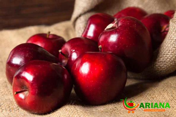Exceptional Summer Red Apple Dealers