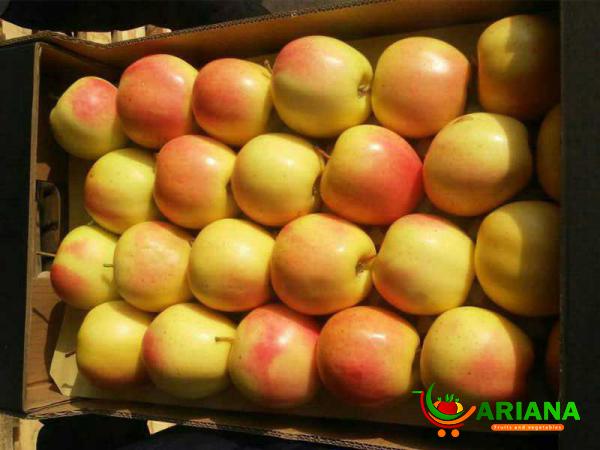 Golden Delicious Apple Fruit for Sale