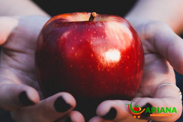 Protecting Your Brain with Eating Summer Best Apple