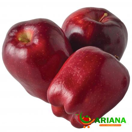 Best Fantastic Summer Red Apple to Direct Supply