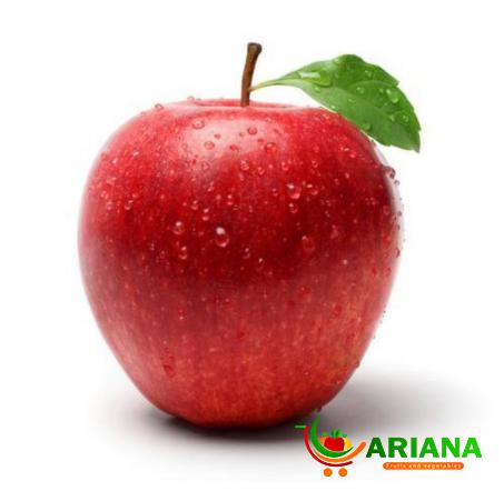 Best Quality Apple Fruit for Buy