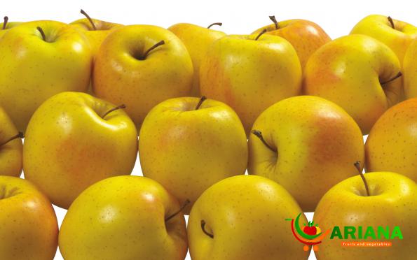 Improving Brain Function by Eating yellow Gala Apple