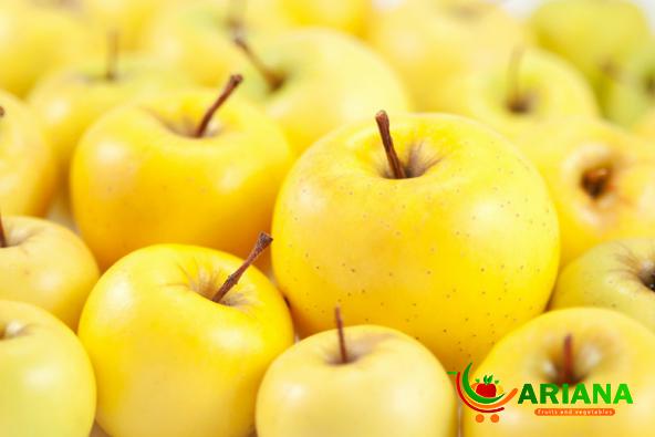 Newest Price List of Big Yellow Apples in 2022