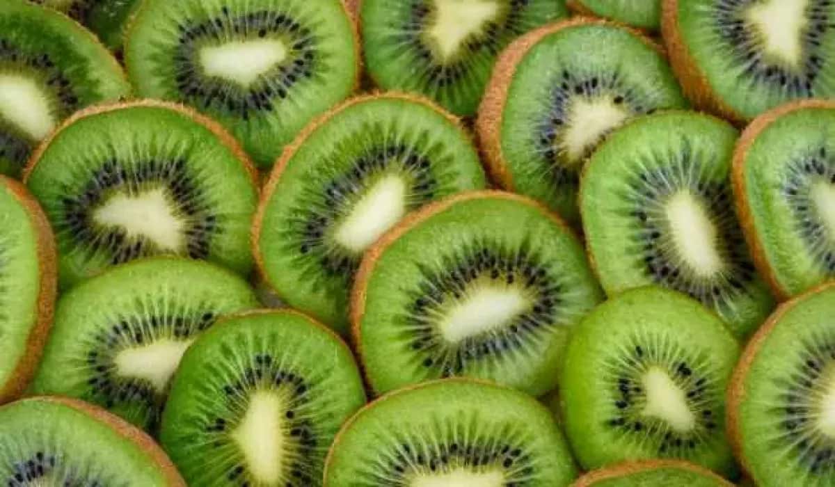  Buy green kiwifruit Types + Price 