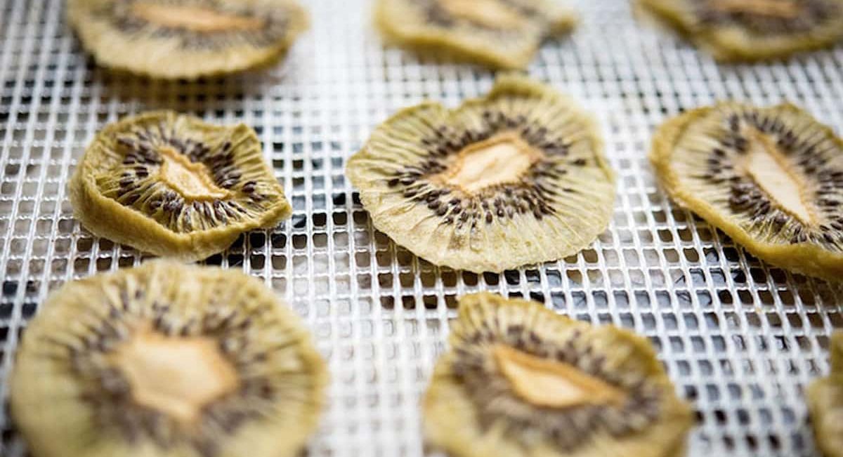  dried kiwi | Sellers at reasonable prices dried kiwi 