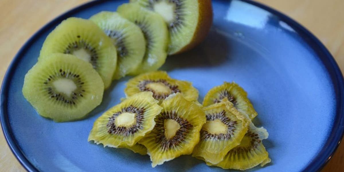  dried kiwi | Sellers at reasonable prices dried kiwi 