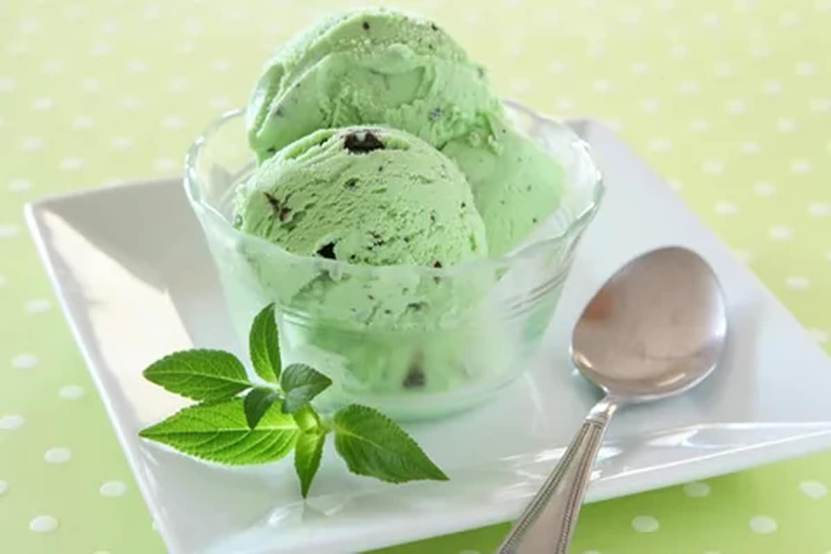  Kiwi ice cream maker gelato brands + Buy 