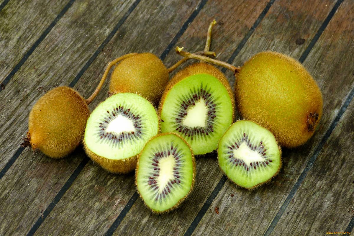  price references of sungold kiwi types + cheap purchase 